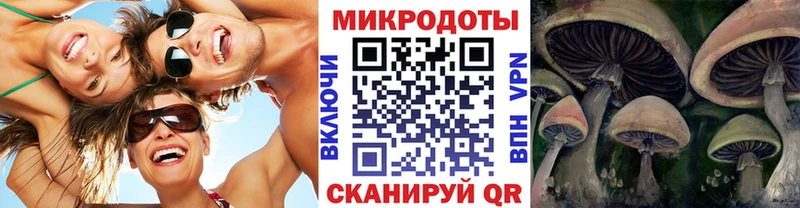 Галлюциногенные грибы мухоморы Михайловка