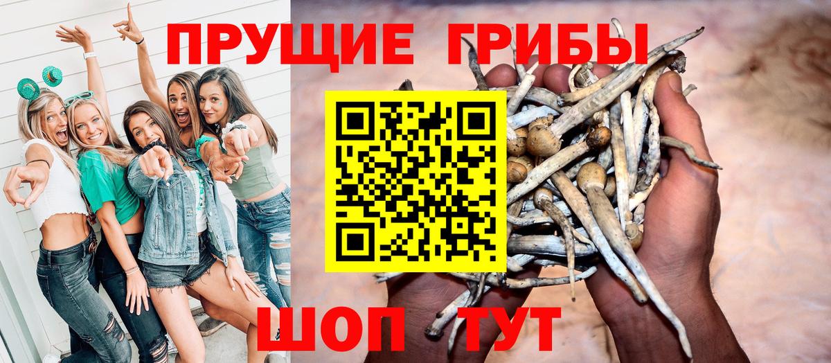 Псилоцибиновые грибы Magic Shrooms  цены наркотик  Михайловка  Вход с VPN  Псилоцибиновые грибы прущие грибы 