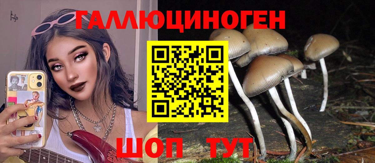 Псилоцибиновые грибы Magic Shrooms Михайловка