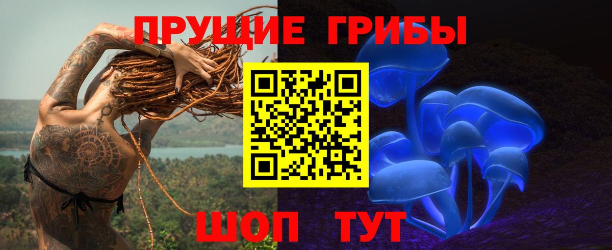 Псилоцибиновые грибы Psilocybine cubensis Михайловка